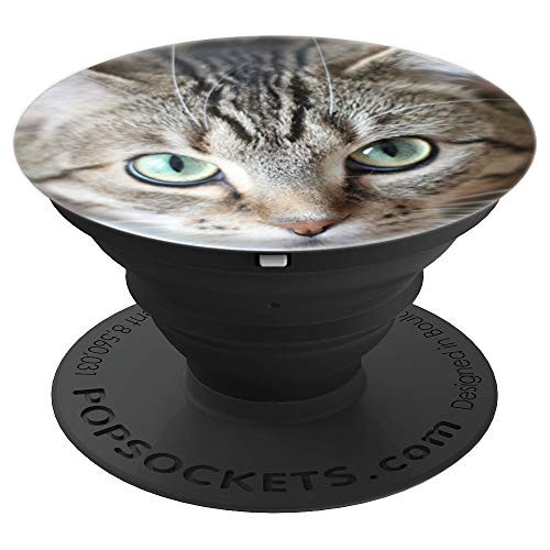 Green Eyes Tabby Cat - PopSockets Grip and Stand for Phones and Tablets
