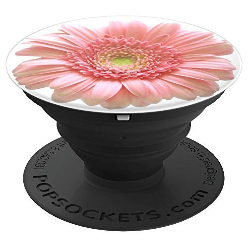 Gerbera Daisy Light Coral Pink Beautiful Floral Flower - PopSockets Grip and Stand for Phones and Tablets Gerbera Daisy Light Coral Pink Beautiful Floral Flower - PopSockets Grip and Stand for Phones and Tablets
