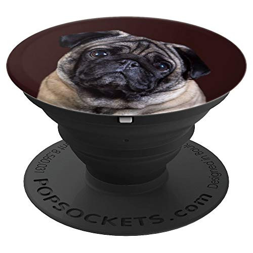 Pug Dog Animal Love Pet Puppy Cute Puppies Brown Design Gift - PopSockets Grip and Stand for Phones and Tablets Pug Dog Animal Love Pet Puppy Cute Puppies Brown Design Gift - PopSockets Grip and Stand for Phones and Tablets