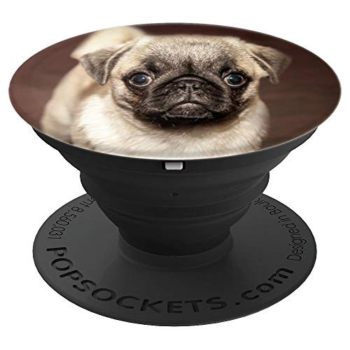 Pug Dog Animal Pet Puppy Love Cute Puppies Brown Design - PopSockets Grip and Stand for Phones and Tablets Pug Dog Animal Pet Puppy Love Cute Puppies Brown Design - PopSockets Grip and Stand for Phones and Tablets