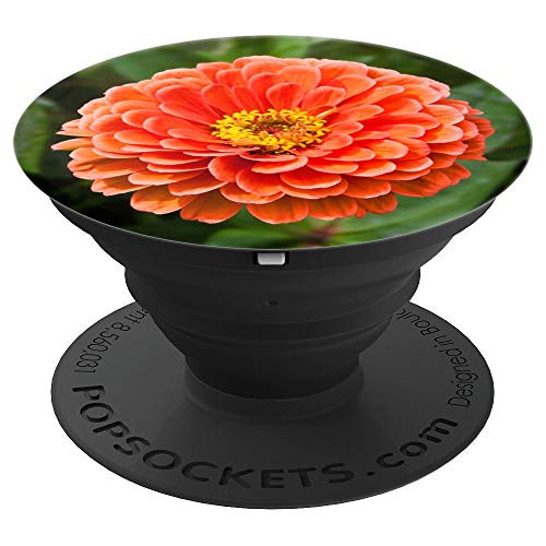 Pretty Orange and Yellow Zinnia Flower Photograph - PopSockets Grip and Stand for Phones and Tablets