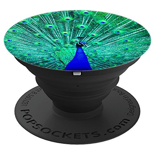 Peacock Feathers Blue Green Bird Nature - PopSockets Grip and Stand for Phones and Tablets Peacock Feathers Blue Green Bird Nature - PopSockets Grip and Stand for Phones and Tablets
