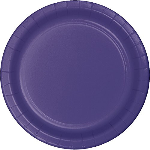 Creative Converting 553268 Touch of Color 96 Count Dinner/Large Paper Plates, Purple