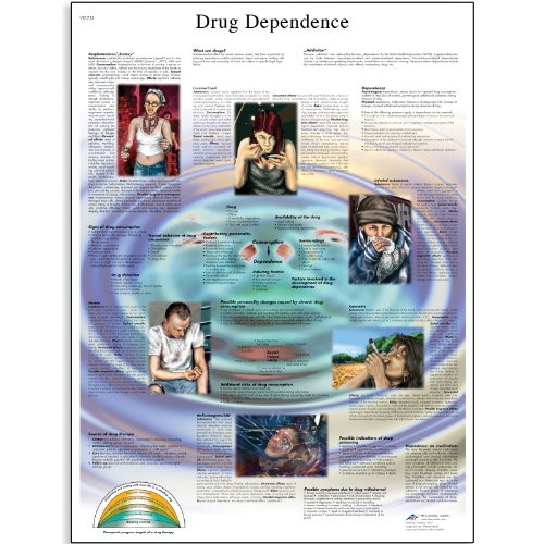3B Scientific VR1781UU Glossy Paper Drug Dependence Anatomical Chart, Poster Size 20" Width x 26" Height