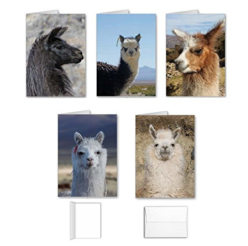 Llama Note Cards Value Pack - Best Set of 10 Assorted Blank Inside All Occasion Foldover Greeting Cards with Envelopes, Bulk Variety Assortment of 5 Different, Designs, Made in USA