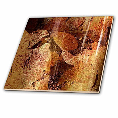 3dRose ct_7533_5 Wine Cellar-Glass Tile, 4-Inch