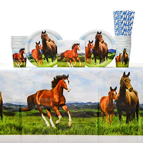 Horse and Pony Party Supplies Pack for 16 Guests Including Paper Cups, Paper Dessert Plates, Paper Beverage Napkins, Paper Straws, and Plastic Table Cover (Bundle for 16)