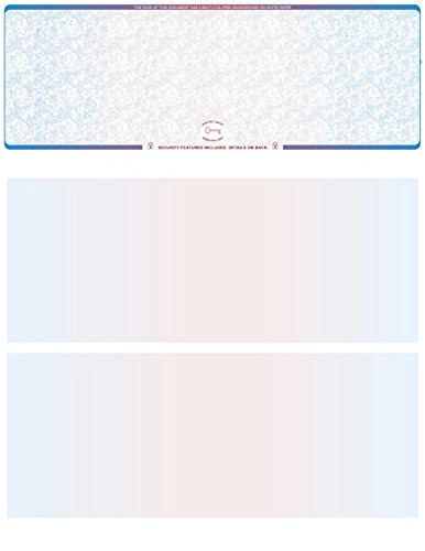 Blank High Security Computer Checks, 250 Blue/Red Checks