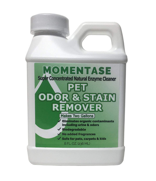 Momentase Natural Enzyme Concentrated Cleaner High Strength Pet Odor & Stain Remover Non-Toxic Makes 2 Gallons of Solution For Dog & Cat Urine, Feces, Vomit, Organic Soils, No Added Fragrances
