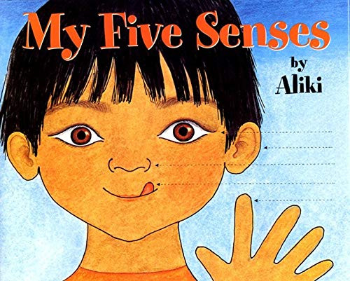 Constructive Playthings HR-37 Look and Learn Big Book-My Five Senses Big Book by Constructive Playthings