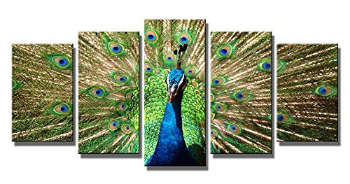 Wieco Art - The Peacock 5 Piece Modern Stretched and Framed Giclee Canvas Prints Artwork Green Animals Pictures Paintings on Canvas Wall Art for Living Room Bedroom Home Decorations Wieco Art - The Peacock 5 Piece Modern Stretched and Framed Giclee Canvas Prints Artwork Green Animals Pictures Paintings on Canvas Wall Art for Living Room Bedroom Home Decorations