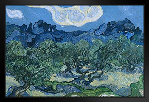 Vincent Van Gogh The Olive Trees Art Print Black Wood Framed Poster 20x14 inch