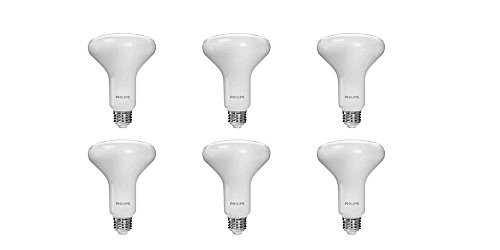 Philips LED Dimmable BR30 Light Bulb: 650-Lumen, 5000-Kelvin, 8-Watt (65-Watt Equivalent), E26 Base, Daylight, 6-Pack