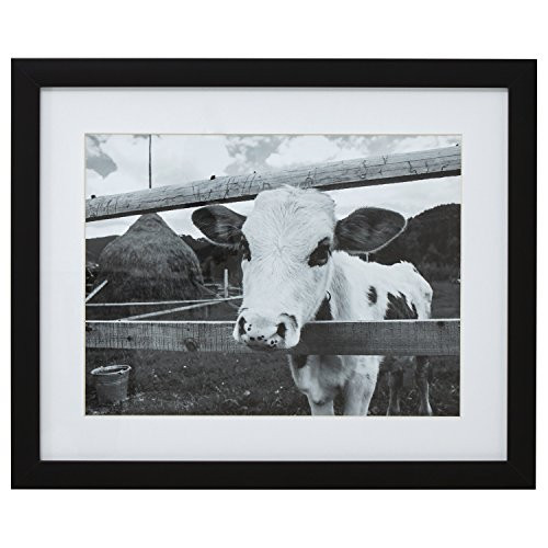 Black and White Curious Cow Photo Wall Art Décor - 18" x 22" Picture Frame, Black
