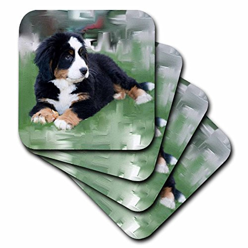3dRose cst_4038_3 Bernese Mountain Dog-Ceramic Tile Coasters, Set of 4