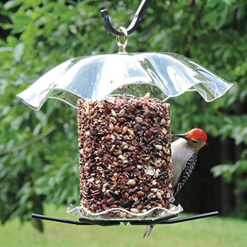 Birds Choice Clear Cylinder Seed Cake Feeder, Medium, Clear