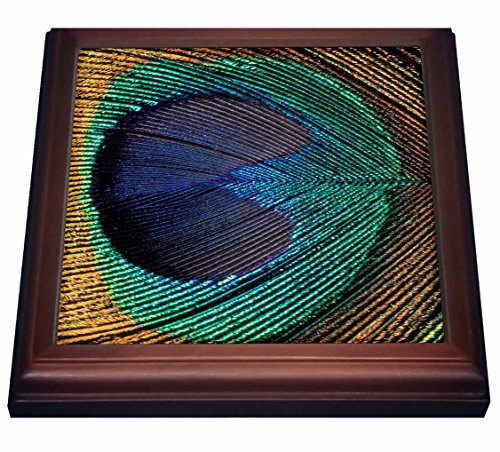 3dRose trv_83564_1 Natural Pattern in Male Peacock Feathers NA02 AJE0236 Adam Jones Trivet with Ceramic Tile, 8 by 8", Brown