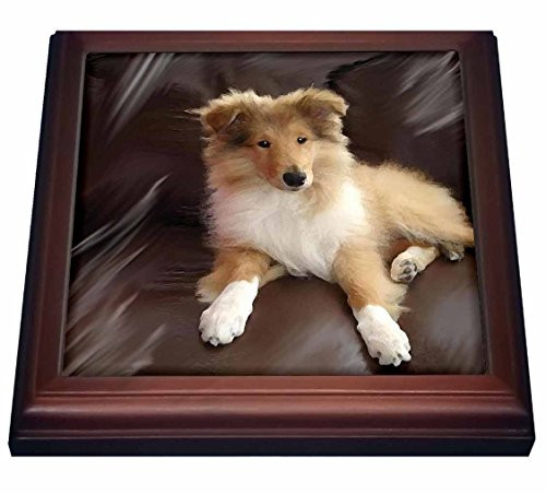 3dRose trv_4546_1 Rough Collie Puppy Trivet with Ceramic Tile 8 x 8" Natural