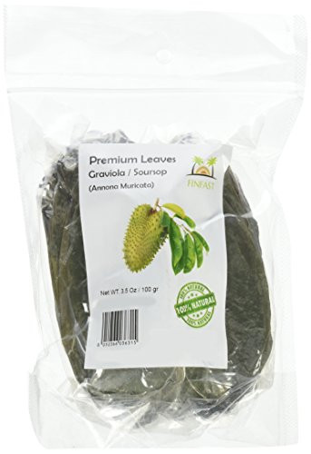 FINFAST Air-dried Guanabana / Soursop / Graviola / Guyabano Leaves (+/- 250 Premium Leaves, 100 Grams)