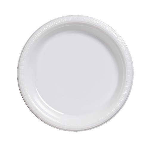 Creative Converting Touch of Color 20 Count Plastic Banquet Plates, White