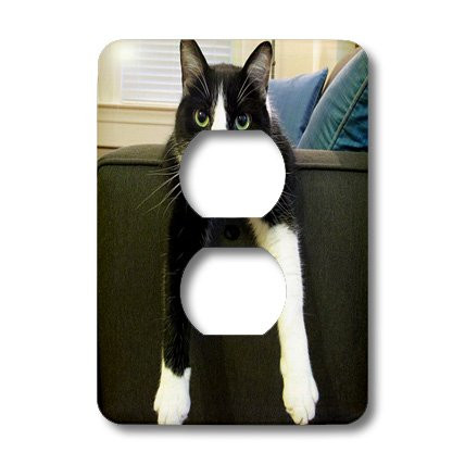 3dRose lsp_23450_6 Black And White Cat With Nothing To Do 2 Plug Outlet Cover