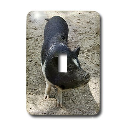 3dRose lsp_4327_1 Black and White Pig Single Toggle Switch