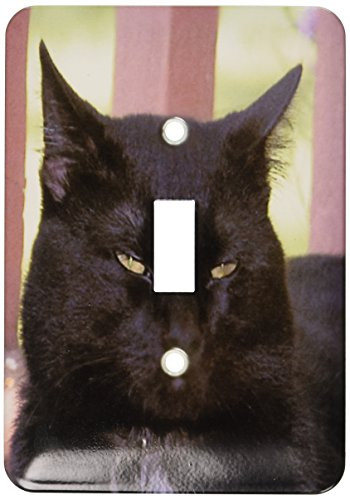 3dRose LLC lsp_23930_1 Black Cat, Single Toggle Switch