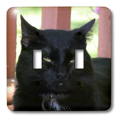 3dRose LLC lsp_23930_2 Black Cat, Double Toggle Switch