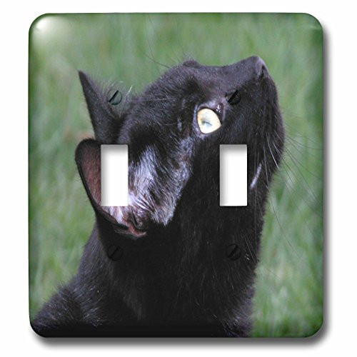 3dRose lsp_50986_2 Black Cat Looking Up Toggle switch