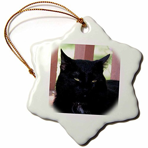 Beverly Turner Photography Black Cat Snowflake Porcelain Ornament, 3-Inch Beverly Turner Photography Black Cat Snowflake Porcelain Ornament, 3-Inch