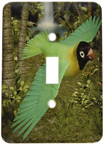 3dRose LLC lsp_60731_1 Black Cheeked Lovebird Parrot Single Toggle Switch
