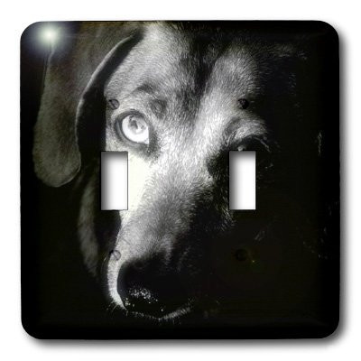 3dRose lsp_1210_2 Black Dachshund Portrait Double Toggle Switch