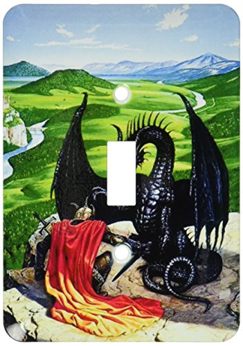 3dRose LLC lsp_48228_1 Black Dragon n Knight, Single Toggle Switch