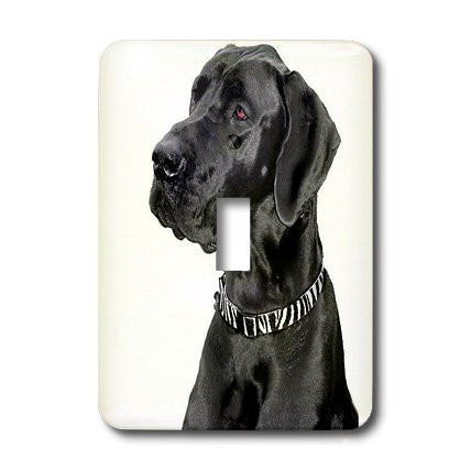 3dRose lsp_1054_1 Black Dane Single Toggle Switch