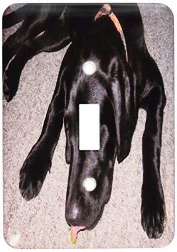3dRose lsp_50180_1 Black Lab Eating Grape Single Toggle Switch