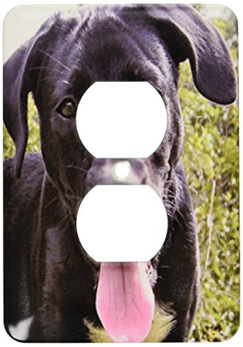 3dRose lsp_48741_6 Black Labrador Puppy  2 Plug Outlet Cover