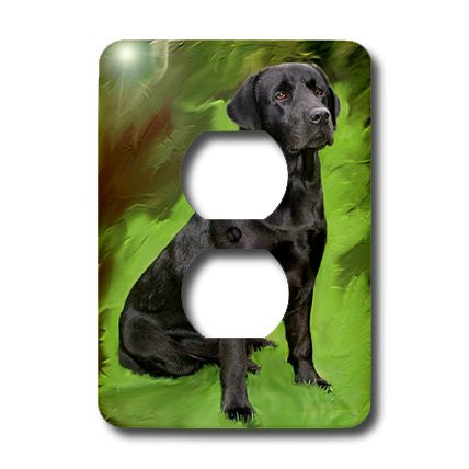 3dRose lsp_3892_6 Black Labrador Retriever 2 Plug Outlet Cover