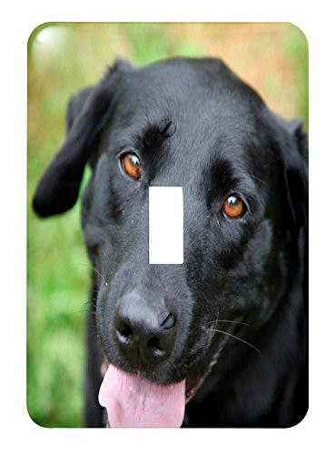 3dRose lsp_206817_1 Black Labrador Single Toggle Switch, Multicolor