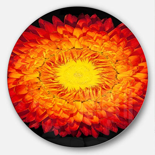 Designart Everlasting Straw Black-Flowers Circle Wall Art- Disc of 23, 23'' H x 23'' W x 1'' D 1P,