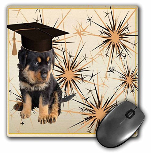 3dRose LLC 8 x 8 x 0.25 Inches Mouse Pad, Cap and Gown Rottie - Rottweiler, Rottweiler's, Rottie, Rotties, Rottie Owner, Rottweiler Puppy (mp_46969_1)