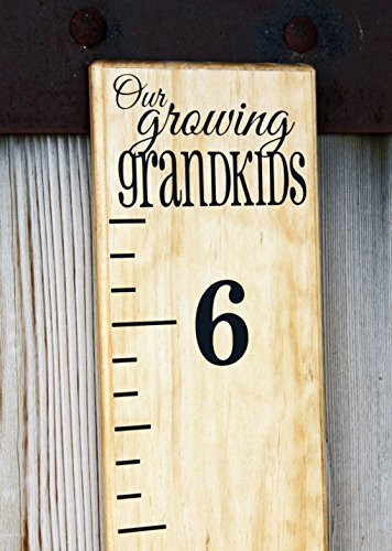 Little Acorns DIY Vinyl Growth Chart Ruler Decal Kit, Our Growing Grandkids