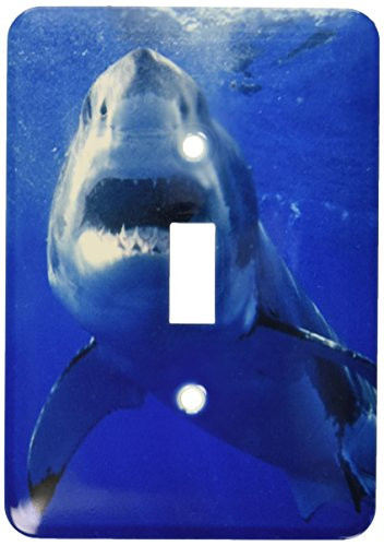 3dRose LLC lsp_10584_1 Great White Shark Single Toggle Switch