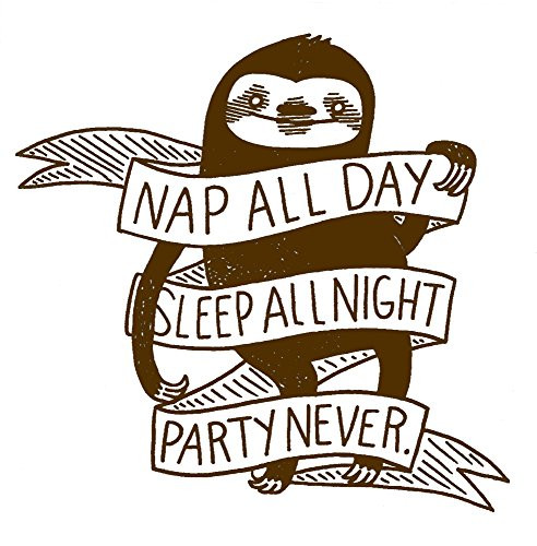 Nap All Day, Sleep All Night, Party Never Sloth Phenomenauts Sticker / Decal