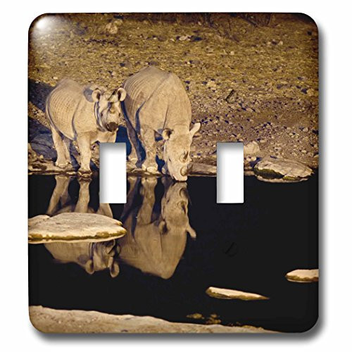 3dRose LLC lsp_74582_2 Namibia, Etosha Np, Black Rhino Wildlife, Waterhole -Af31 Dsl0002 David Slater Double Toggle Switch