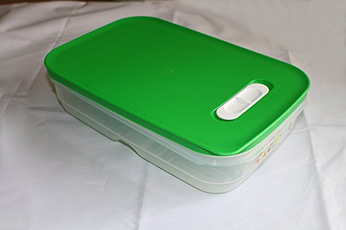 Tupperware FridgeSmart Medium Wintergreen