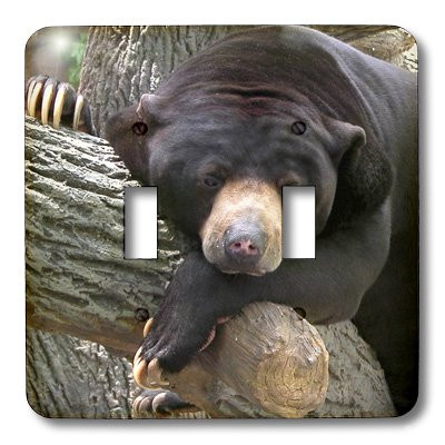 3dRose lsp_11586_2 Oh Man, What A Day, Black Bear Double Toggle Switch