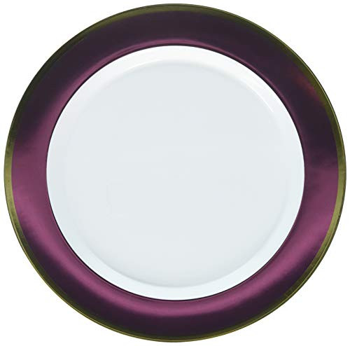 Amscan 430583.109 Premium Plastic party-plates, 10 1/4 inches, White with Pink Border