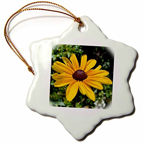 3dRose orn_33850_1 Out in Nature Black Eyed Susan Flower Photography Snowflake Porcelain Ornament, 3-Inch