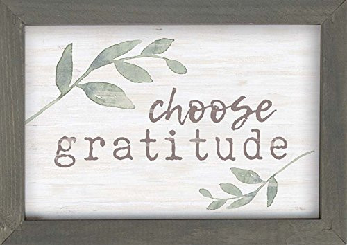 P. GRAHAM DUNN Choose Gratitude Greenery Whitewash 10 x 7 Inch Pine Wood Framed Wall Art Plaque P. GRAHAM DUNN Choose Gratitude Greenery Whitewash 10 x 7 Inch Pine Wood Framed Wall Art Plaque