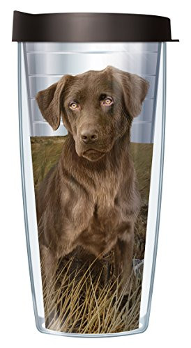 Chocolate Lab Clear Wrap Traveler 16 Oz Tumbler Mug with Lid